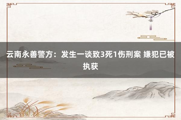 云南永善警方：发生一谈致3死1伤刑案 嫌犯已被执获